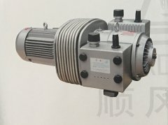 DV Dry Running Vacuum/Pressure Pump